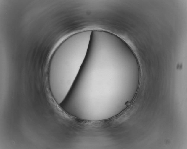 X0000091241008200708161732