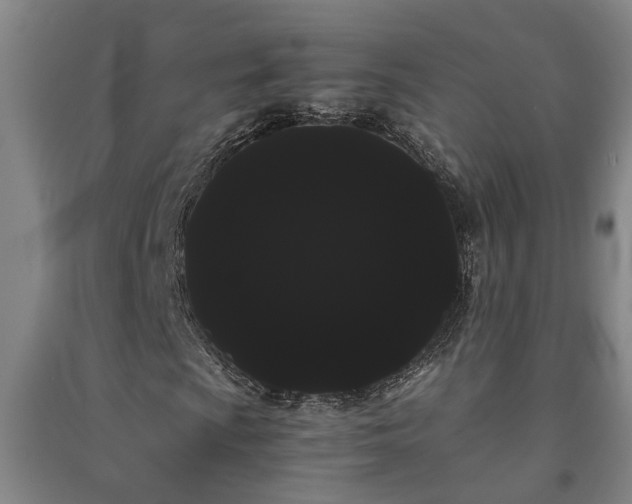 X0000091241009200708161732