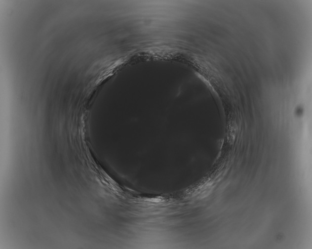 X0000091241010200708161732