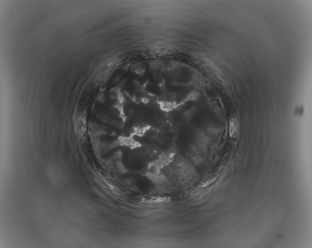 X0000091241011200708161732