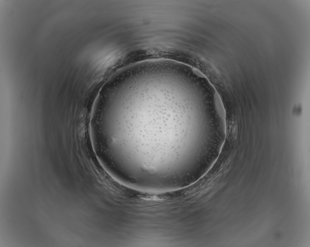 X0000091241012200708161732