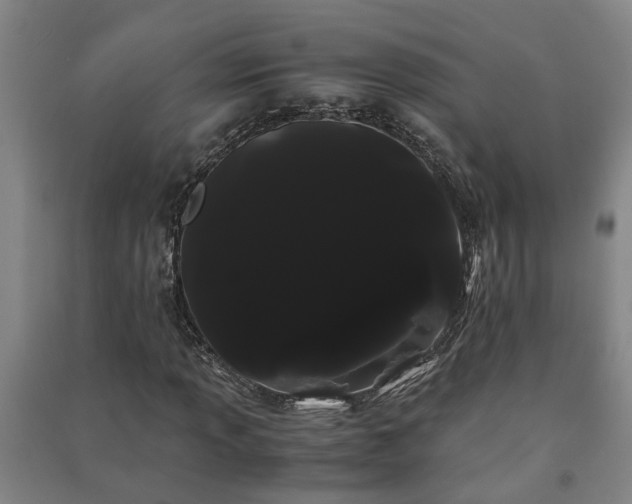 X0000091241013200708161732