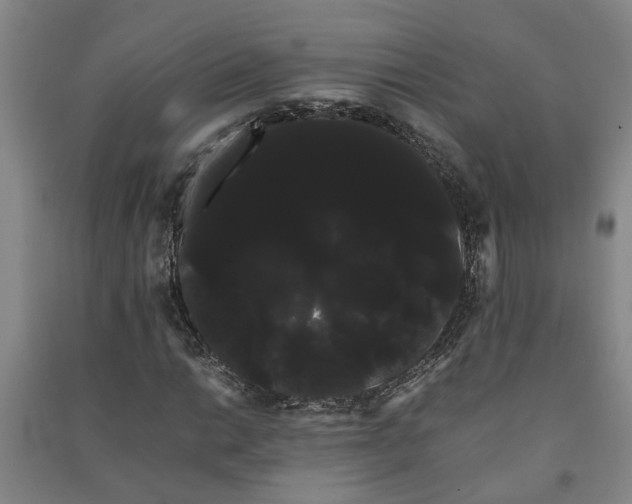 X0000091241014200708161732