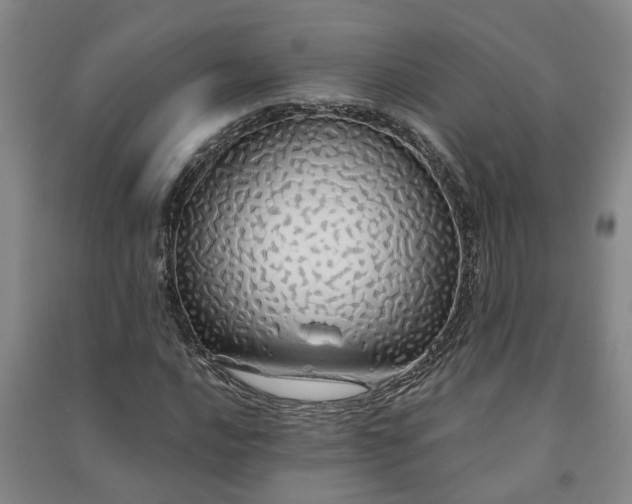 X0000091241016200708161732