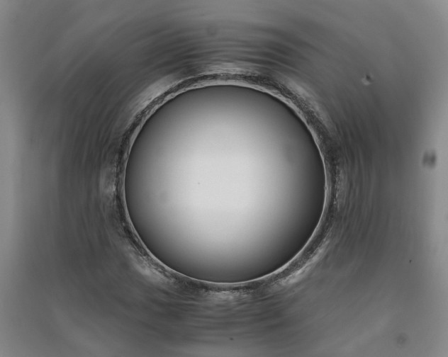 X0000091241017200708161732