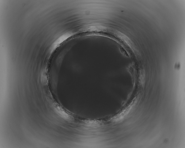 X0000091241018200708161732