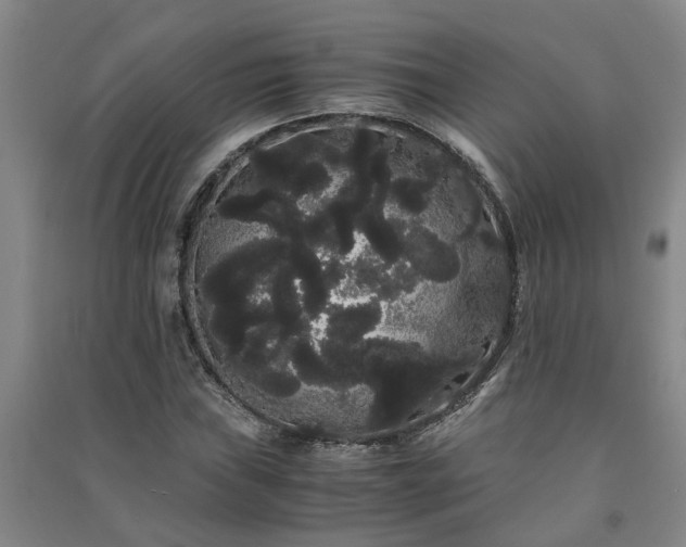 X0000091241019200708161732