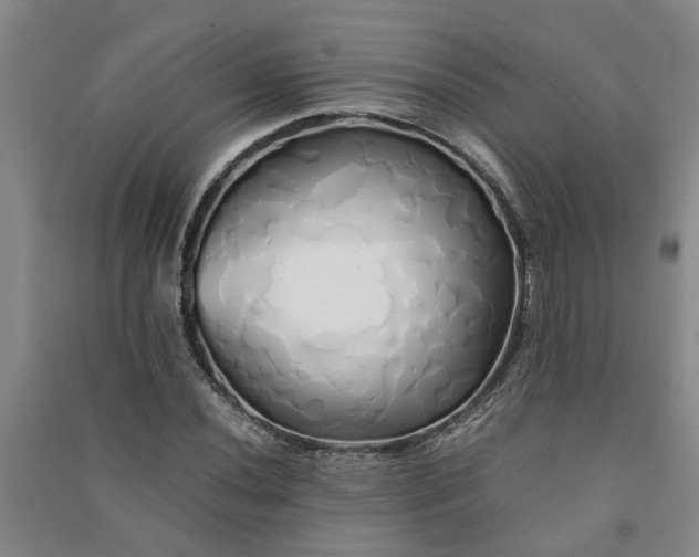 X0000091241020200708161732
