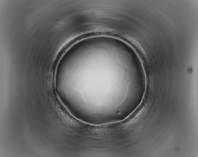X0000091241021200708161732