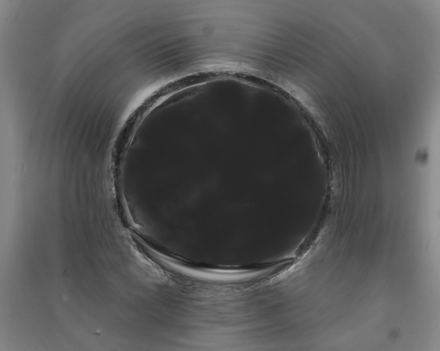 X0000091241022200708161732