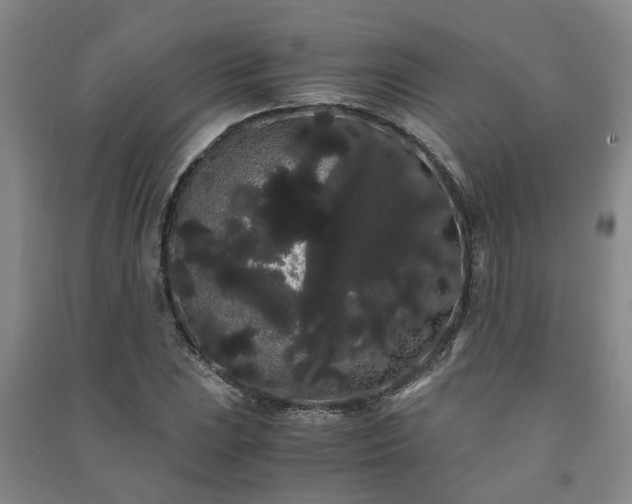 X0000091241023200708161732