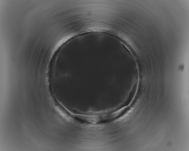 X0000091241026200708161732