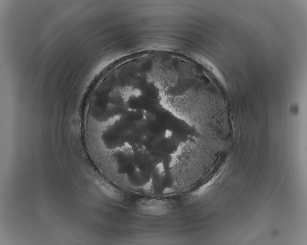 X0000091241027200708161732