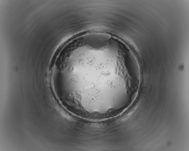 X0000091241029200708161732