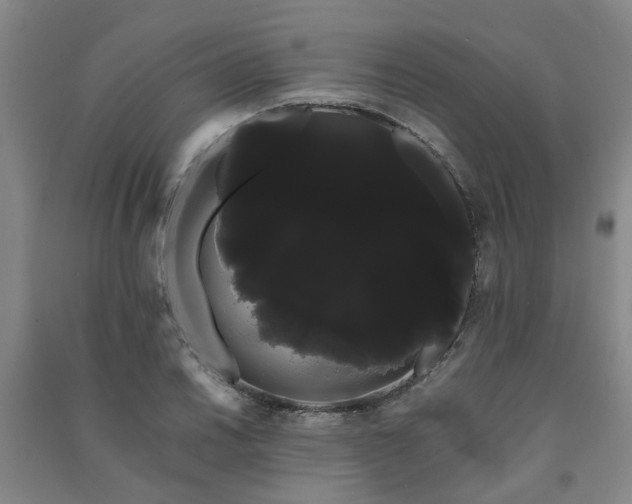 X0000091241030200708161732