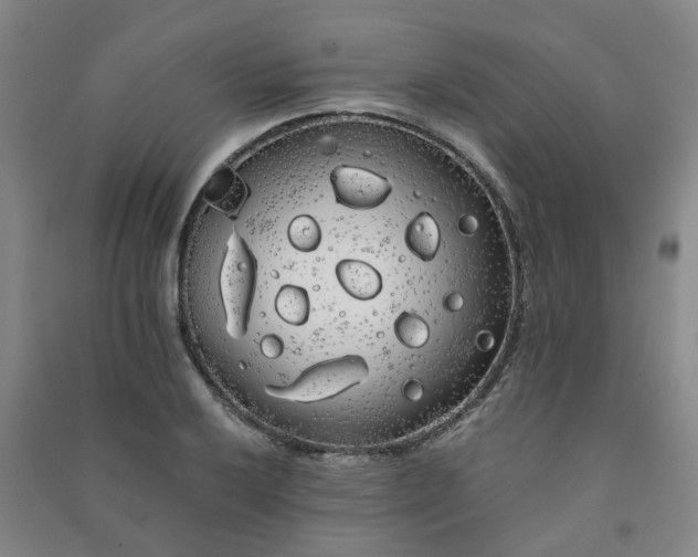 X0000091241032200708161732