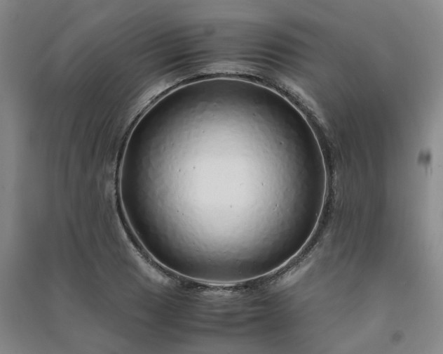 X0000091241033200708161732