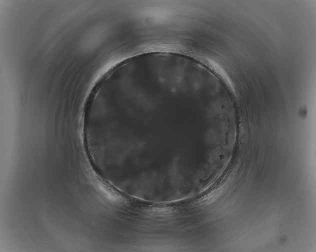 X0000091241035200708161732