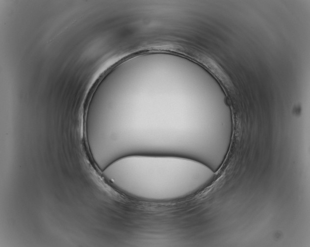 X0000091241036200708161732