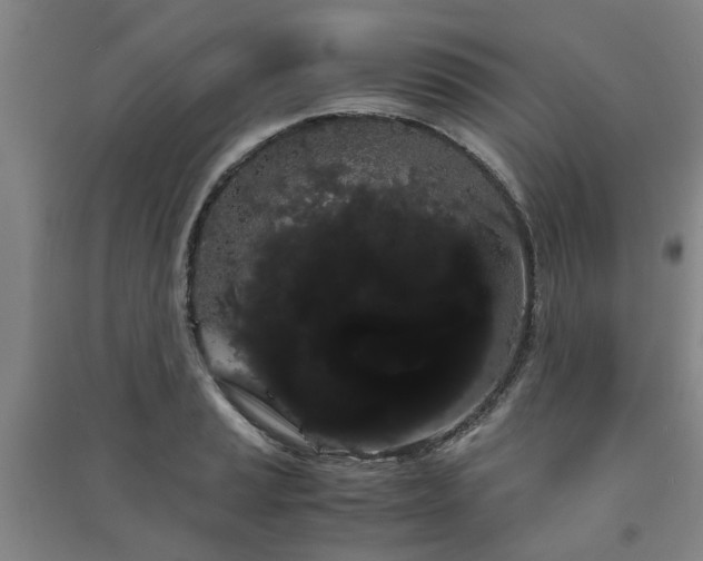 X0000091241037200708161732