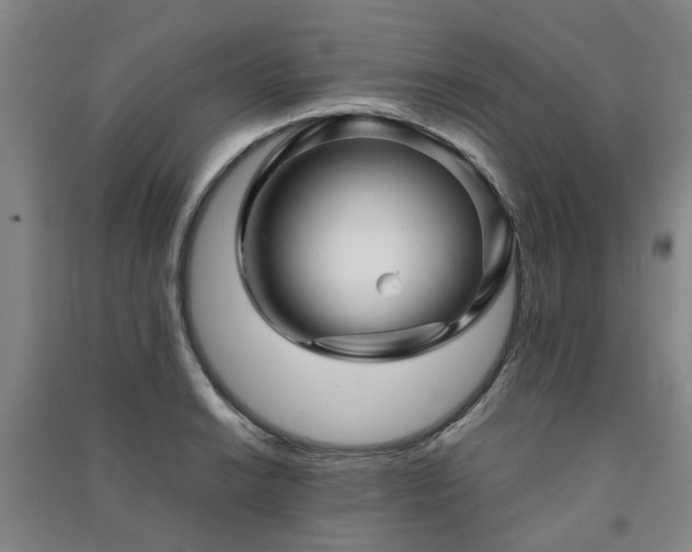 X0000091241038200708161732