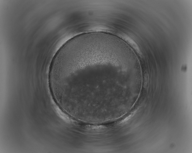 X0000091241039200708161732