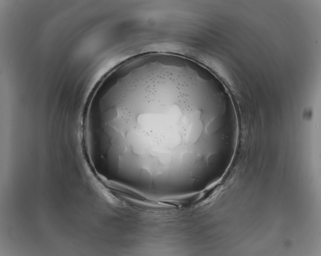 X0000091241040200708161732
