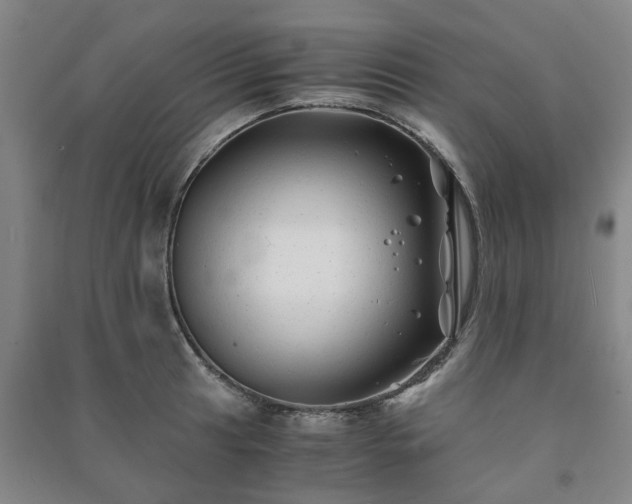 X0000091241041200708161732