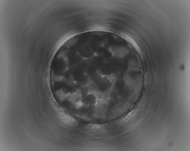 X0000091241043200708161732