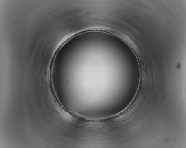 X0000091241044200708161732
