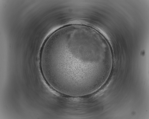 X0000091241045200708161732