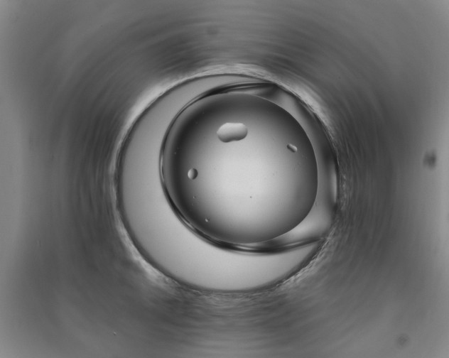 X0000091241046200708161732