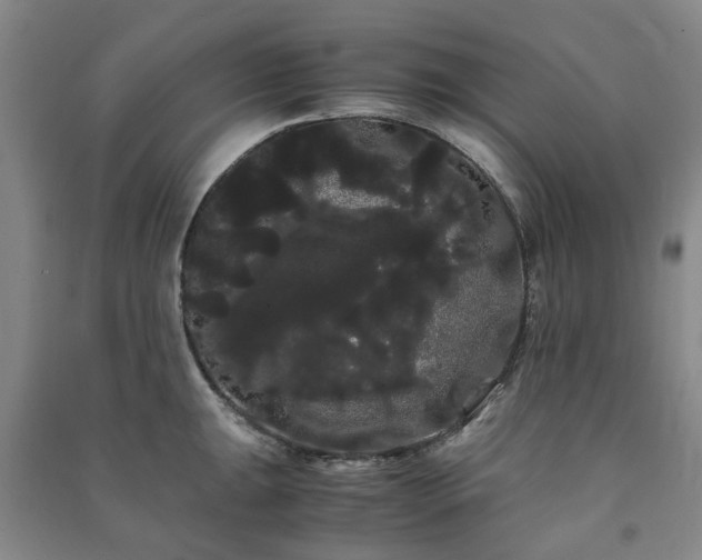 X0000091241047200708161732