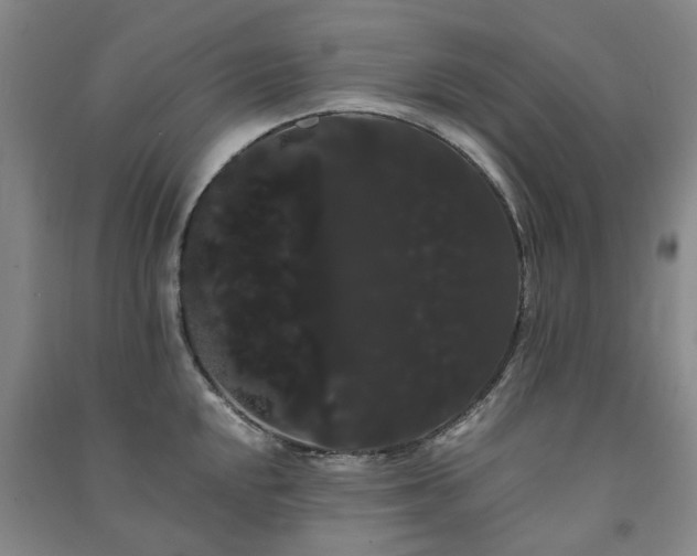 X0000091241048200708161732
