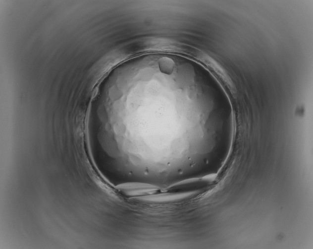 X0000091241049200708161732
