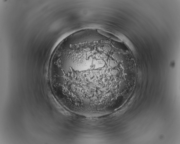 X0000091241052200708161732