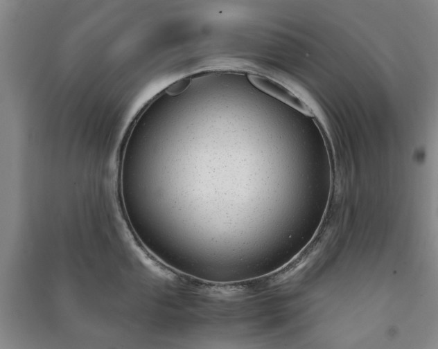 X0000091241053200708161732