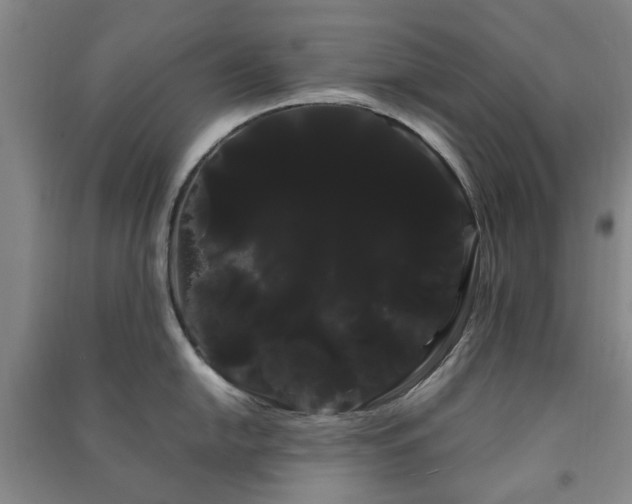 X0000091241054200708161732
