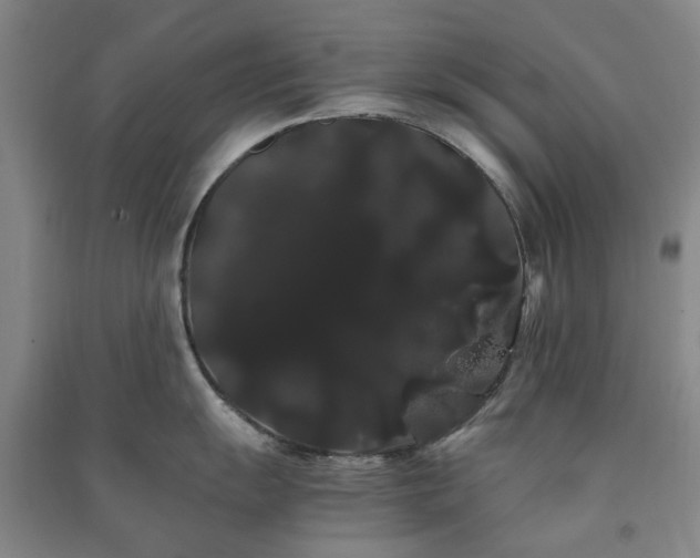 X0000091241055200708161732