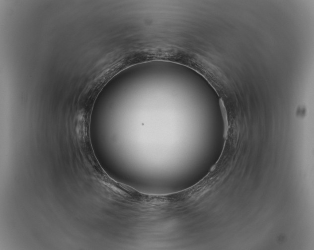 X0000091241058200708161732