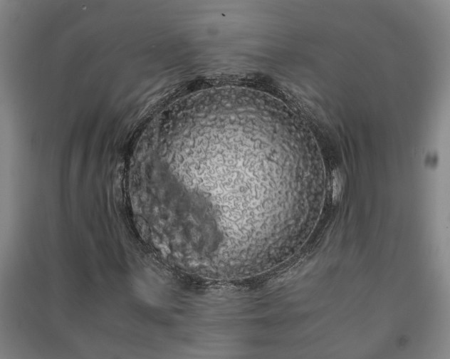 X0000091241059200708161732