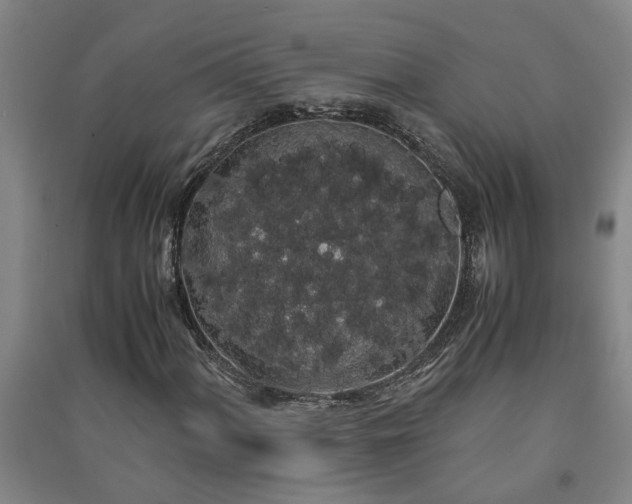 X0000091241060200708161732
