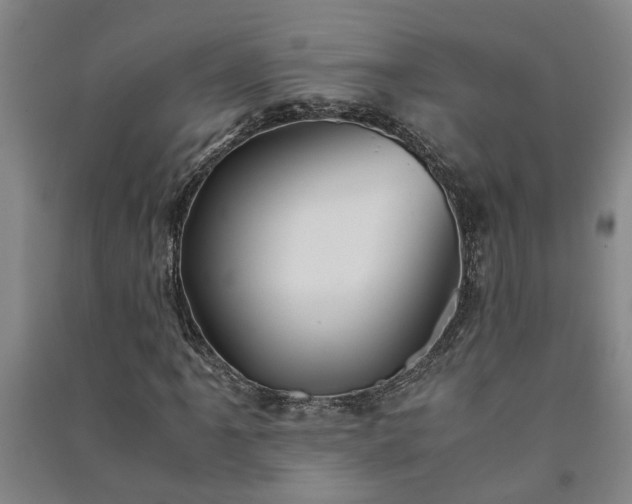 X0000091241061200708161732