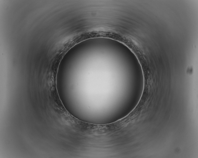 X0000091241062200708161732