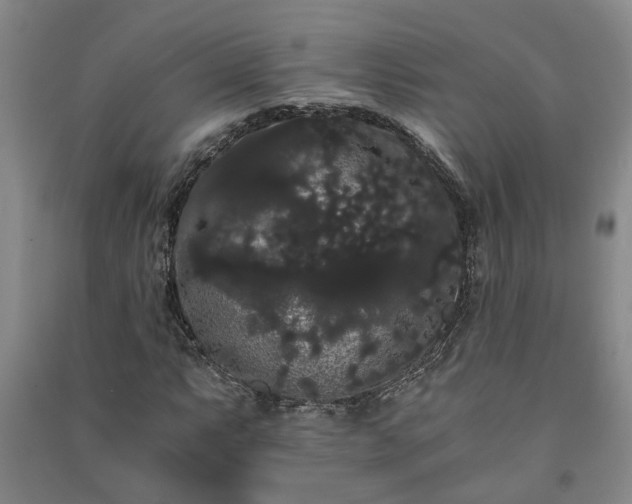 X0000091241063200708161732