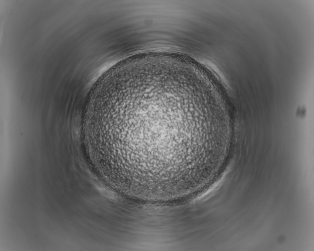 X0000091241065200708161732