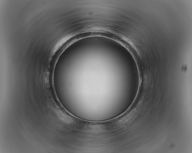 X0000091241066200708161732