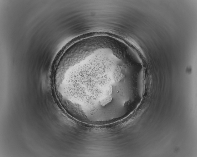 X0000091241068200708161731