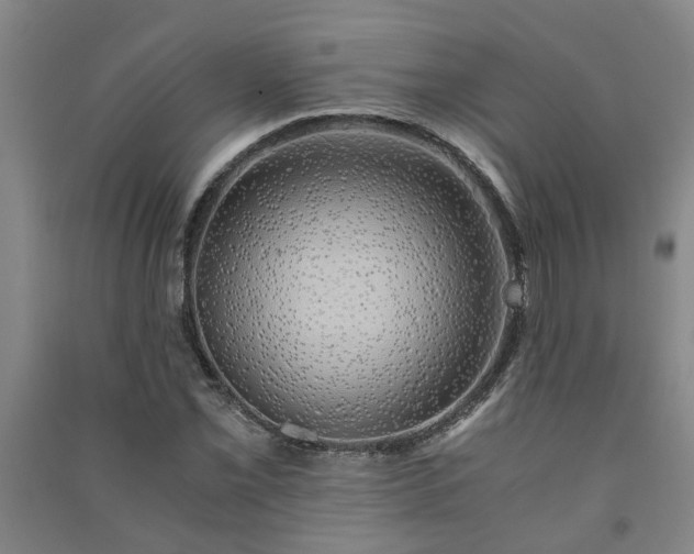 X0000091241069200708161731