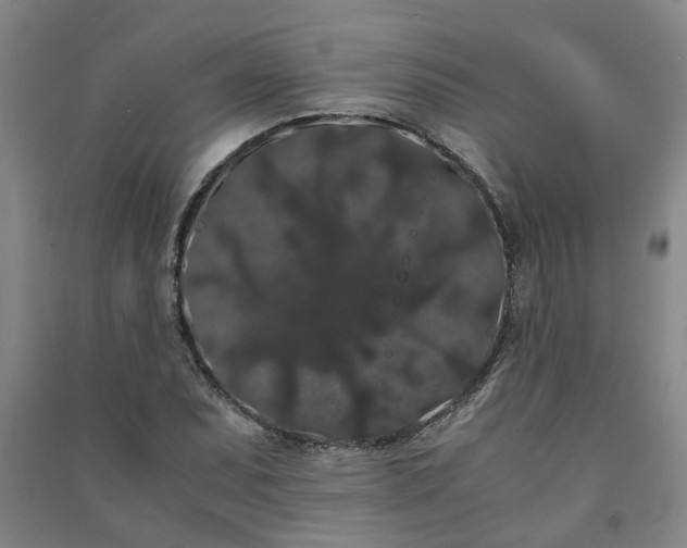 X0000091241071200708161731